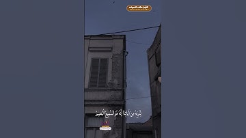 تلاوة هادئه تفيض جمالاً أرح بها قلبك
