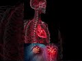 Obesity: A Disease, #worldhealthorganization #obesity #doctor #neet #disease #healthtips