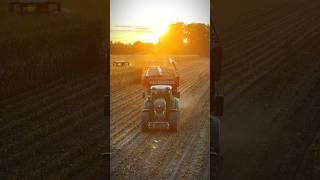 Best of Mais 2025🥹🌽 #farming #agriculture #jpagrar #landwirtschaft #maisernte #fendt #claas