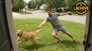 Epic Funny Moments #011 | Most Shocking CCTV Moments in 4K