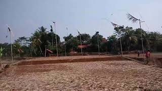 kolecer budaya asli orang sunda, kp. babakan DS.warung jeruk Keb. purwakarta