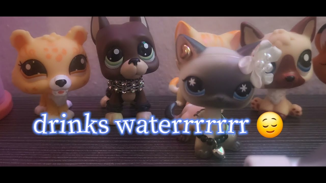 Let's talk about lps somethings are just not perfect 💖😂😵‍💫