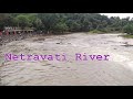 Bathing in Holy Netravati River in Dharmasthala, Karnataka, India :: video by Arun Kumar B