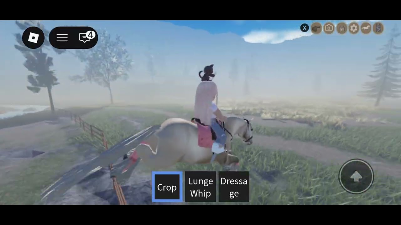 Yaaaayyyy riding on bailey