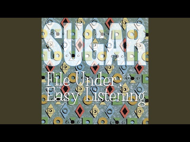 Sugar - Can't Help You Anymore