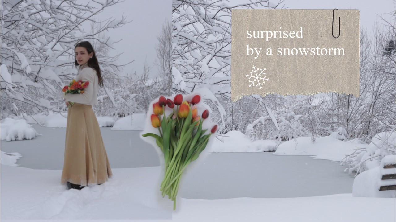 Dear Diary || first signs of spring,  a snowstorm, and my thoughts on Wuthering Heights