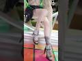 Reverse 1999 Mercuria, Regulus, Matilda | Cosplay