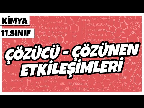 11. Sınıf Kimya - Çözücü - Çözünen Etkileşimleri | 2022