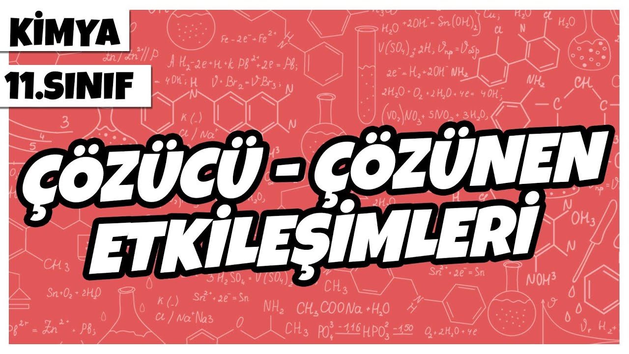 11. Sınıf Kimya - Çözücü - Çözünen Etkileşimleri | 2022