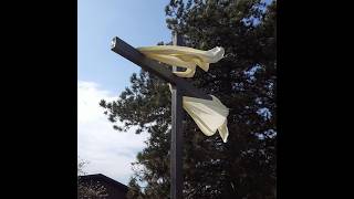 The Fourth Sunday of Easter.  Saturday, April 25, 2026. 4:30 p.m. Mass.