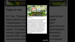 дачные советы