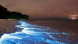 İlham Veren Duygusal Fon Müziği