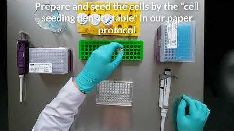 InoMATRIX protocols - Cell seeding