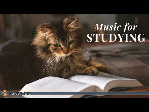 Classical Music For Studying x Brain Power | Mozart, Vivaldi, Tchaikovsky...