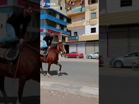 الصعيدي جوم