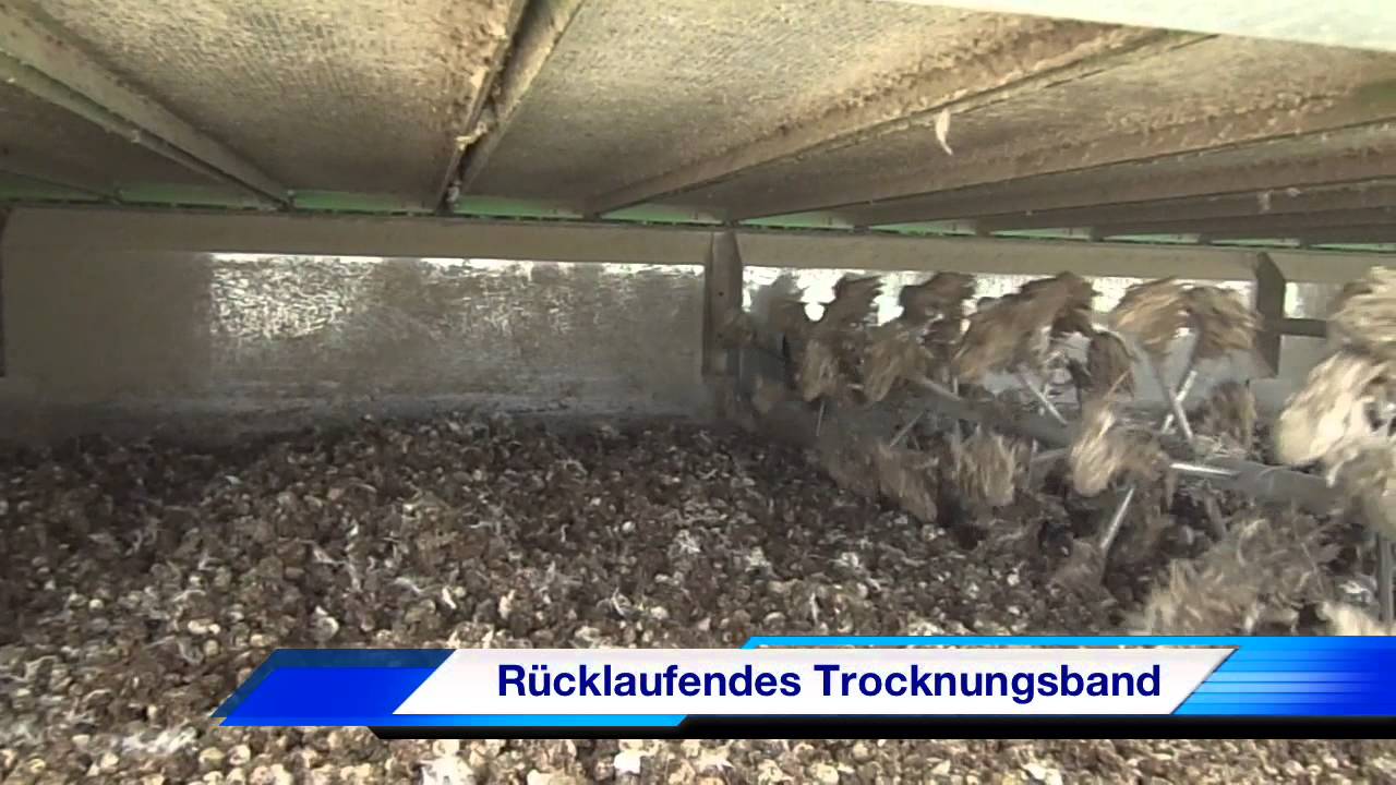 Demonstration des Qalovis Trockner-Systems