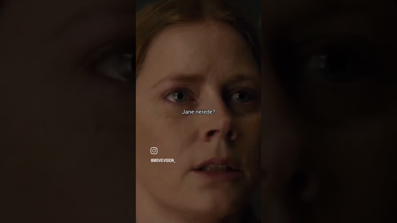 The Woman in The Window 