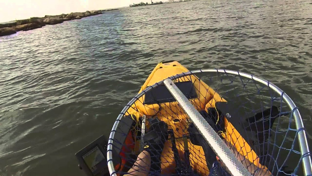 Kayak Fishing Corpus Christi Marina 9/1/14 YouTube