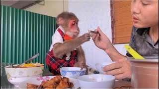 Monkey Sun and his father ate delicious and nutritious rice cooked by their mother