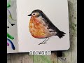 Simple robin painting with gouache!