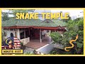 Penang, Malaysia!  Snake Temple