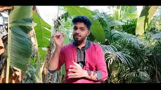 2nd PUC Practical Exam 2023 Time Table Announced | Physics | Chemistry | Biology Lab Experiments
