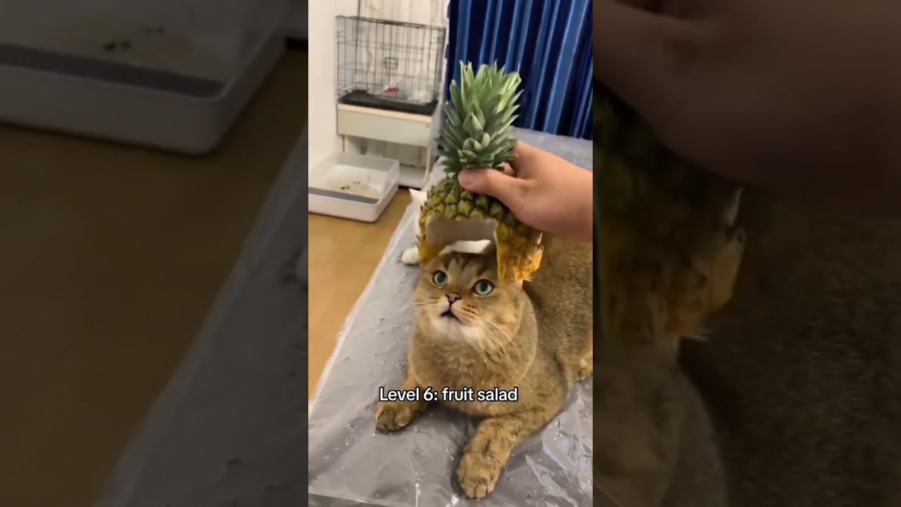 Which outfit is your favorite? 