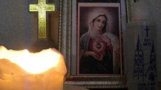 404/2000 AVE MARIA(in silence)/COVER