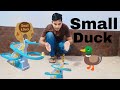Small Duck Track Set 🦆 Unboxing and Testing 😍 बतख के लिए छोटा सा ट्रैक सेट 😍 - Total Toys