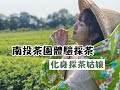 【南投茶廠開箱】體驗製茶！做一天的採茶姑娘！