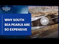 Why south sea pearls are so expensive  so expensive