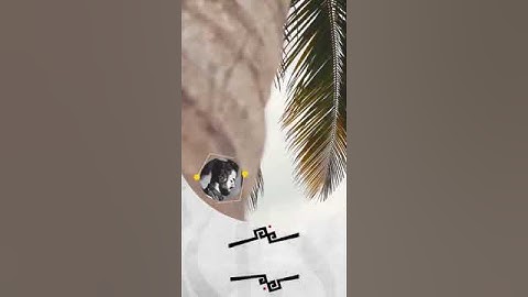 حالات واتس اب يوم الجمعة 🖤 حالات واتس اب قران كريم شريف مصطفى / "إن الله وملائكته يصلون على النبي "