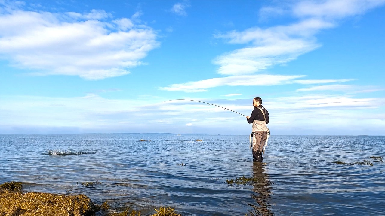 The BEST Way to Start the Day! | A Quick Bass Session | Lure Fishing UK