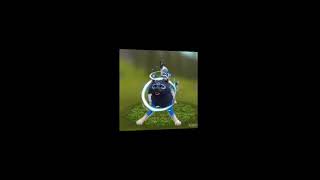 Intro Para Mestre Hayat Ta Meio Bugada