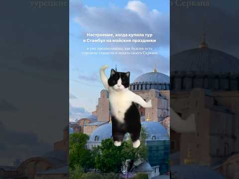 Туры в Стамбул на майские праздники от туроператора OneTouch&Travel #путешествия #стамбул #туризм