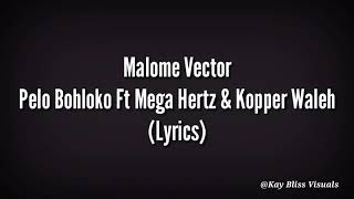 Malome Vector - Pelo Bohloko Ft Mega Hertz & Kopper Waleh( Lyric Video)