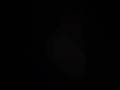 Loop ?! #loop #fyp #shorts #viral #trending #perfectloop #youtubeshorts
