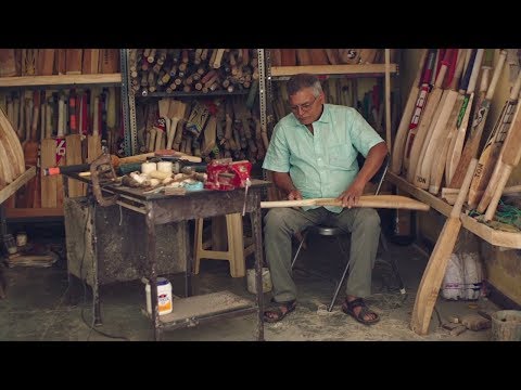 The Bangalore Bat Doctor