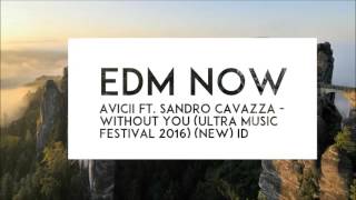 Avicii ft. Sandro Cavazza - Without You (Ultra Music Festival 2016) ID