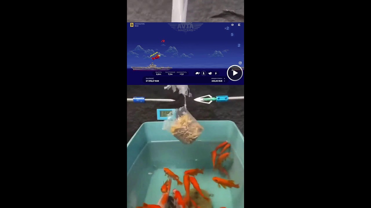 СТРИМ ОНЛАЙН ШОРТС ИГРАЕМ