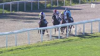 Vidéo de la course PMU PRIX SKY LAWYER