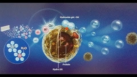 Máy tạo Ion âm ICEVN khử mùi hôi - diệt khuẩn trong không khí I ECOG9