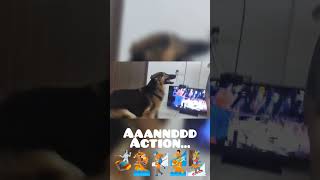 Action Mode On???#dogs #shorts #dogshorts  #short  #action #trending #viral #viralvideo #viralvideos