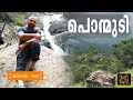 പൊന്മുടിയിലെ ആനകളും മീന്മുട്ടിയിലെ വെള്ളച്ചാട്ടവും | Spotting Elephants in Ponmudi Meenmutty Falls