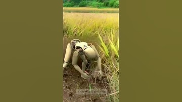 A I Robot farming ।। अब रोबोट करेंगे खेती और इंसान करेगा आराम ।। किसानों के मित्र A I #fact