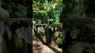 Caldas de Monchique, Algarve, Portugal.