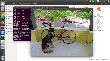 YOLOv4 Tutorial: Setup and Object Detection in Linux