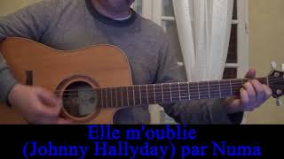 Video thumbnail of "Johnny Hallyday: Elle m'oublie reprise / Cover guitare HD 1978"