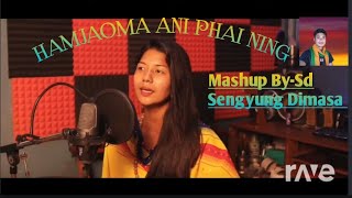 Video thumbnail of "Hamjaoma Ani Phai Ning Dimasa Mashup 2023 Video Song By-Sd Sengyung"