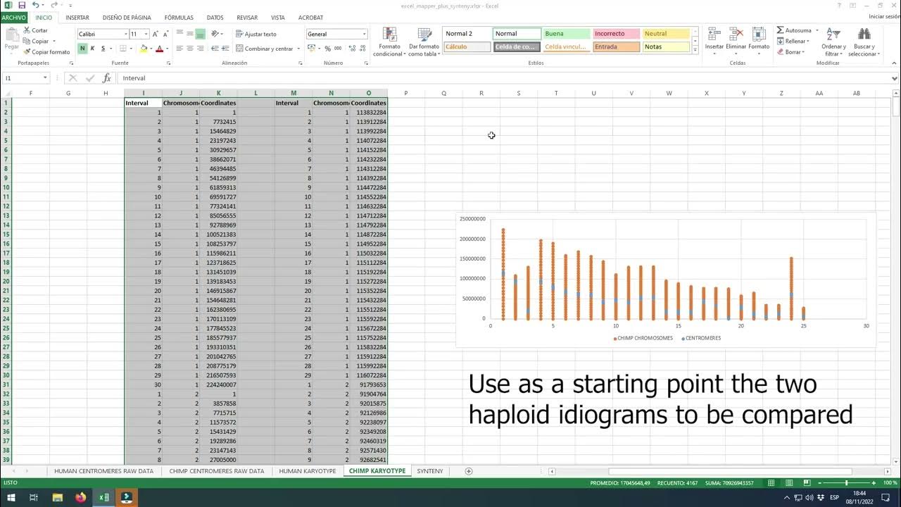 Excel Mapper + Tutorial | Constructing different types of idiograms and ...